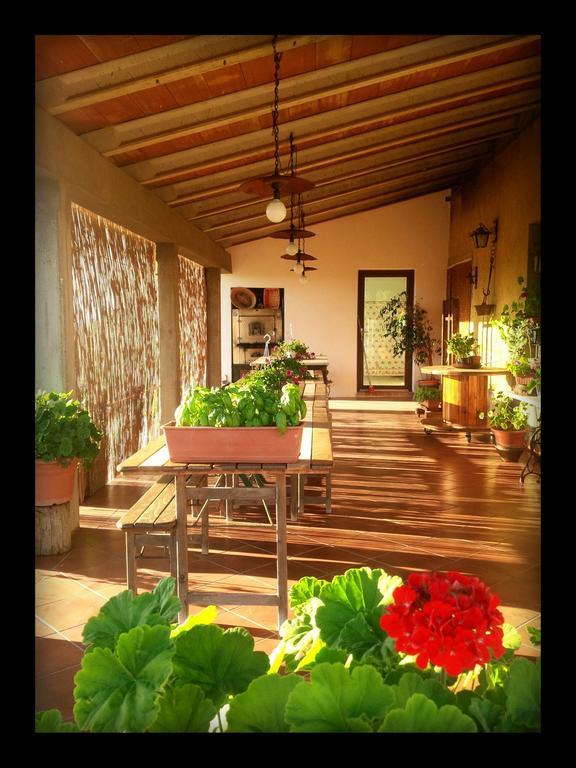 Agriturismo San Giusto Montiano  Exteriör bild