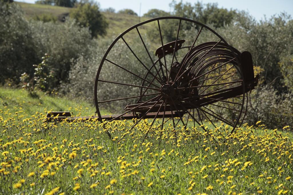 Agriturismo San Giusto Montiano  Exteriör bild